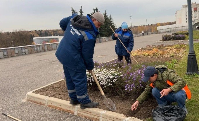 В районе Савелки высадят более 60 тысяч луковиц тюльпанов В районе Савелки высадят более 60 тысяч луковиц тюльпанов