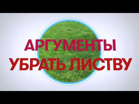 Аргументы убрать листву