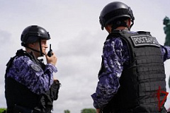Сотрудники Росгвардии задержали в Зеленограде мошенника, находящегося в федеральном розыске