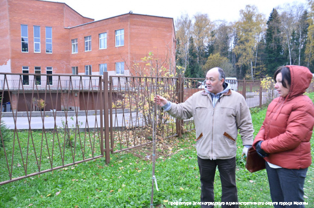 В Зеленограде появилась Аллея здорового сердца