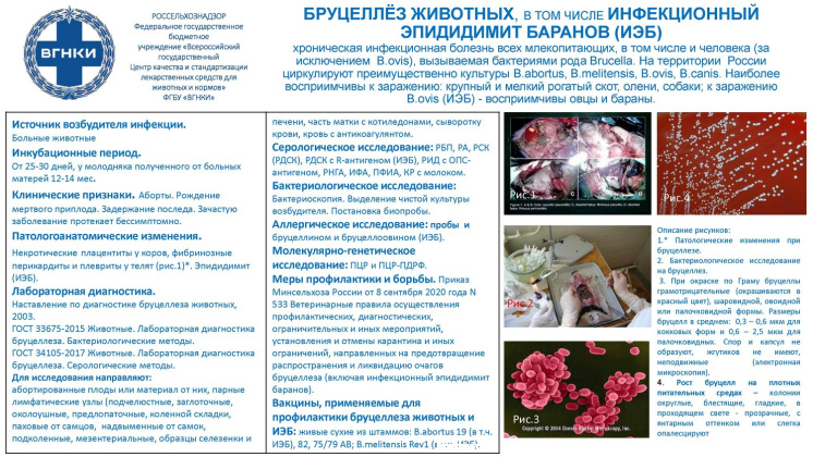 Untitled.FR12 - 0004.jpg