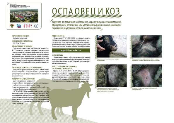 Untitled.FR12 - 0008.jpg