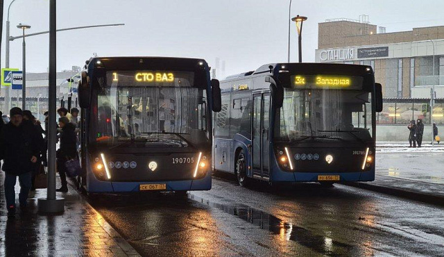 Автобусы