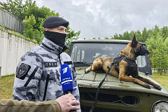 Главное управление Росгвардии по городу Москве поздравляет работников телевидения с профессиональным праздником
