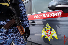 Сотрудники Росгвардии задержали мужчину, скрывавшегося от правосудия 