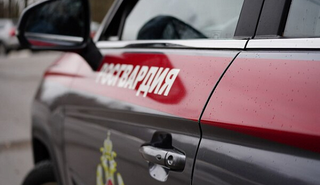 Московские росгвардейцы задержали мужчину, находящегося в федеральном розыске за побои 