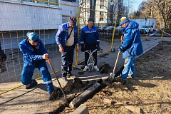 В Зеленограде начались первые благоустроительные работы